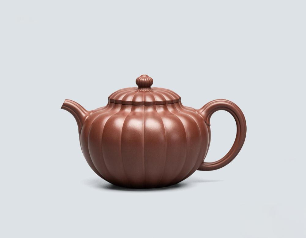 袁小强 菊蕾