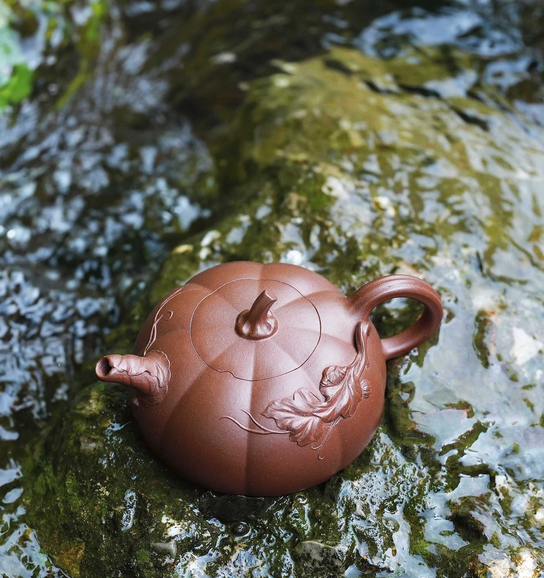 强丽娜 瓜悦