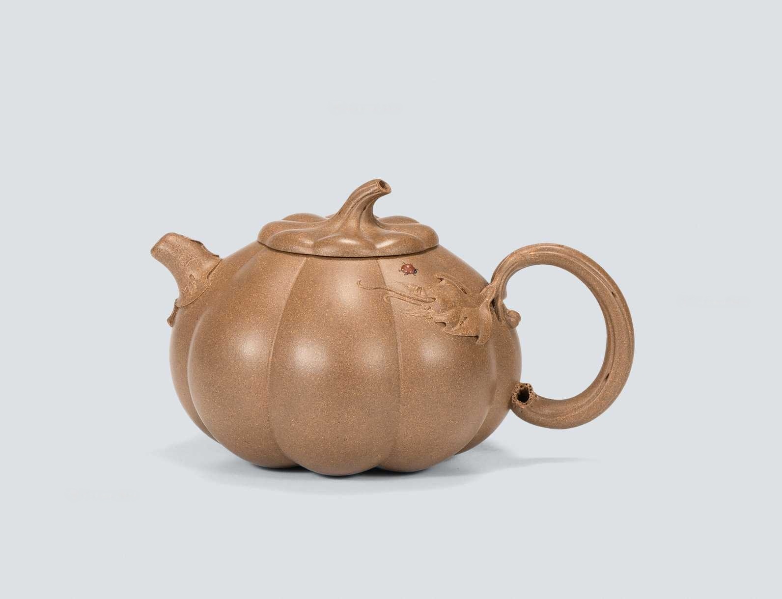 范云涛 南瓜